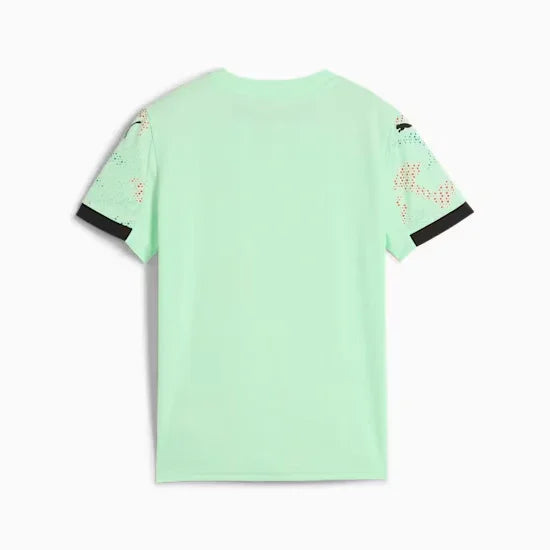 Camisola Portugal Alternativa 2025/2026