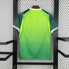 Camisola Nigéria Alternativa 2026