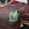 add17101.jpg Camisola México Conceito 2026