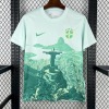 Camisola Brasil 25/26 Edição Especial Verde