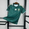 Camisola África do Sul Alternativa 2026