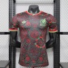 ee1c4a43.jpg Camisola México Conceito 2026