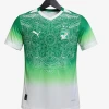 Camisola Costa do Marfim Concept 2026