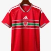 Camisola Principal País de Gales 2026