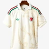 Camisola Alternativa País de Gales 2026