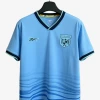 Camisola Panamá Alternativa 2024-2025