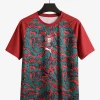 Camisola Portugal 2026/27 Special Red