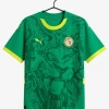 Camisola Senegal Alternativa 2024-2025